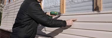 Best Custom Trim and Detailing for Siding  in Pickens, SC